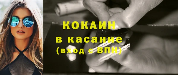гашик Арсеньев