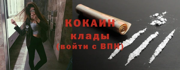 индика Армянск