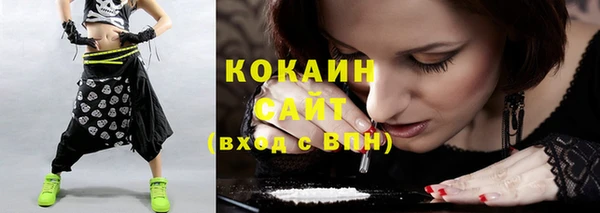 индика Армянск