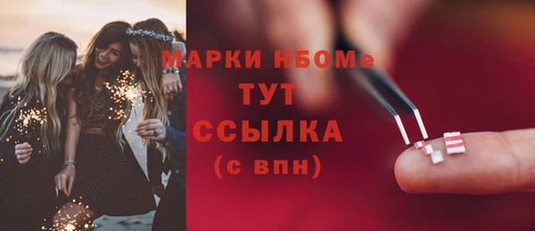 индика Армянск