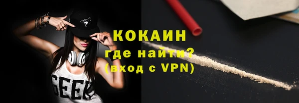 индика Армянск