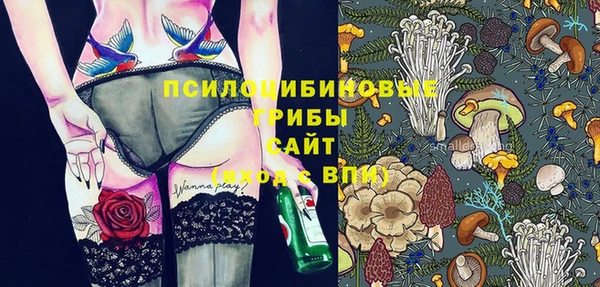 гашик Арсеньев