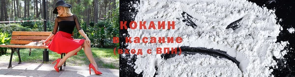 индика Армянск