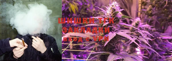 гашик Арсеньев