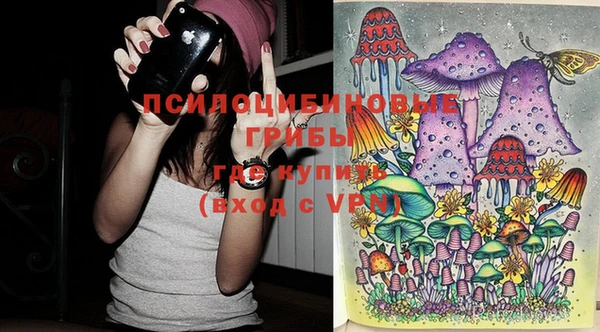 apvp Аркадак