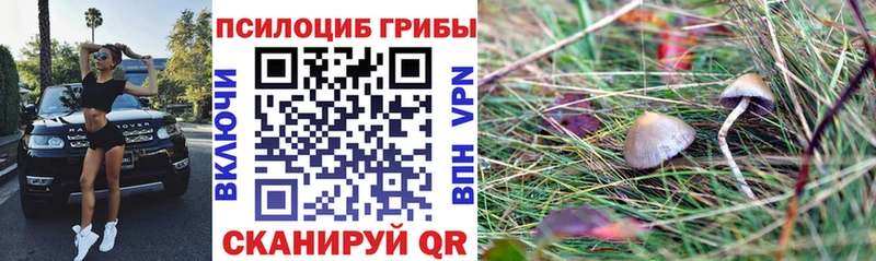Псилоцибиновые грибы ЛСД  купить наркотики цена  KRAKEN ссылка  Тара 